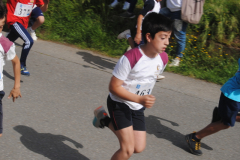 Carreira23-033