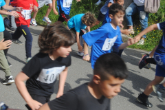 Carreira23-035
