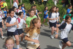 Carreira23-046