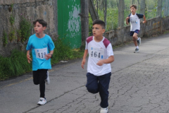 Carreira23-058