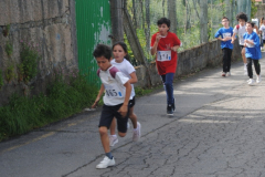 Carreira23-066