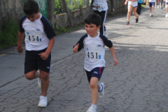 Carreira23-074