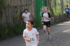 Carreira23-084