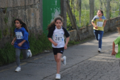 Carreira23-099