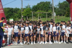 Carreira23-115