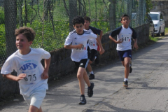 Carreira23-133