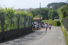 Carreira23-158