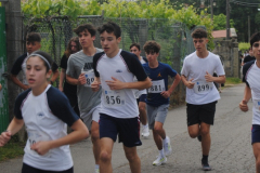 Carreira23-185