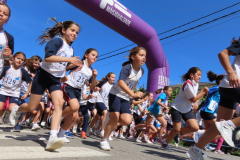 Carreira22-041