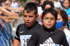 Carreira22-048