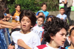 Carreira22-049