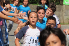 Carreira22-050