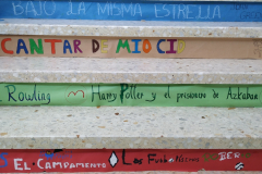 LibroEso-001