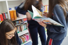 Libro23-.23-3