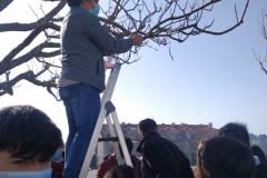 DiaPaz22-025