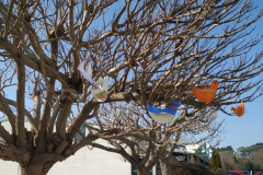 DiaPaz22-036
