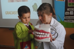 Dientes-006