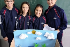 Ecosistemas-001