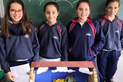 Ecosistemas-005