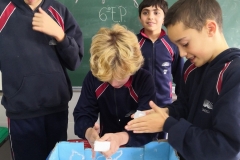 Ecosistemas-008