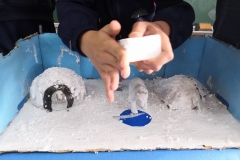 Ecosistemas-009
