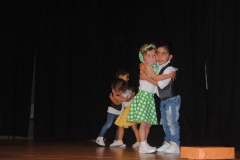 Festival-Fin-de-curso-Ed.-Infantil-046