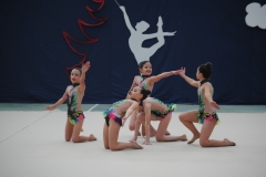 festival rítmica 2019-051