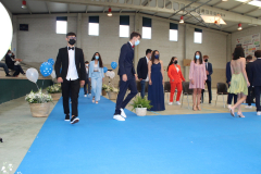 Gala-031