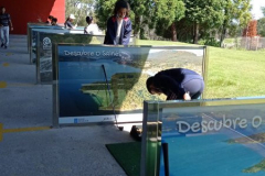 Golf22-.31-PM-001