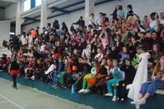 Hall2023