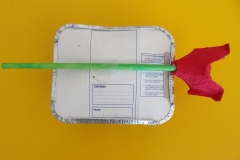 Horta-escolar-EI-002