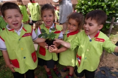 Horta-escolar-EI-004