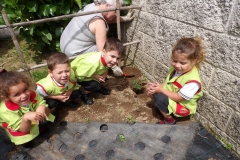 Horta-escolar-EI-005