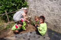 Horta-escolar-EI-007