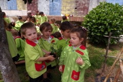 Horta-escolar-EI-008