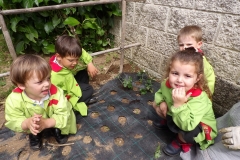 Horta-escolar-EI-009