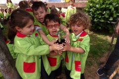 Horta-escolar-EI-010