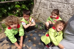 Horta-escolar-EI-011