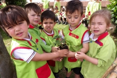 Horta-escolar-EI-012