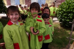 Horta-escolar-EI-014