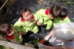 Horta-escolar-EI-015