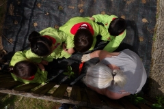 Horta-escolar-EI-016