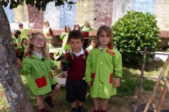 Horta-escolar-EI-017