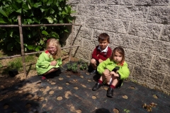 Horta-escolar-EI-019