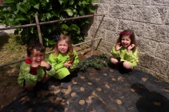 Horta-escolar-EI-021