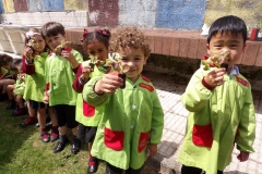 Horta-escolar-EI-022