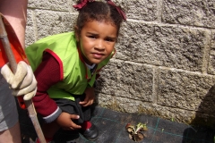 Horta-escolar-EI-023