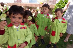 Horta-escolar-EI-035