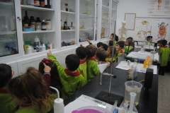Laboratorio-008