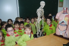 Laboratorio-009